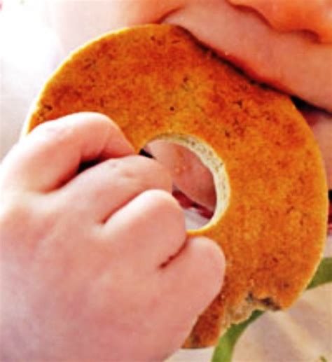 Homemade Teething Biscuits Recipes - Fill My Recipe Book