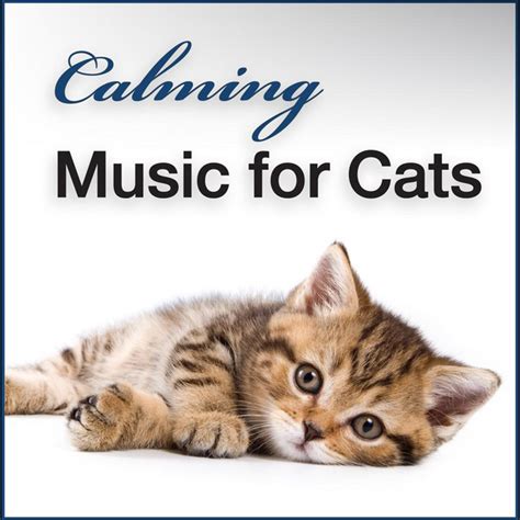 calming sounds for anxious cats - Hal Morin