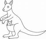 Colorable Kangaroo Design  Free Clip Art sketch template