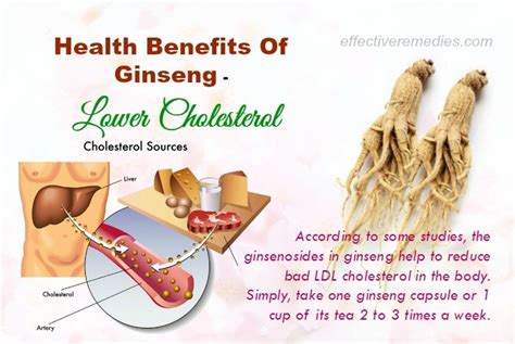 27 Beauty & Health Benefits Of Ginseng – Its Uses & Side Effects