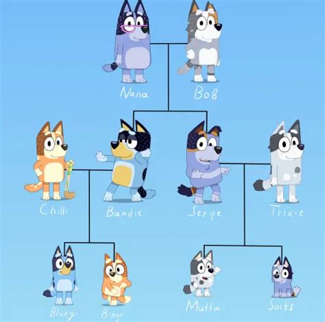 Exploring The Bluey Family Tree: Discovering The Heeler And Cattle Family Connections