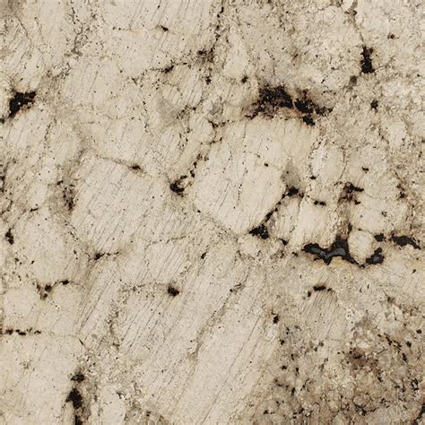 SenSa Crescent Veil Granite Kitchen Countertop Sample at Lowes.com