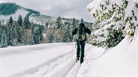 A Beginner's Guide for Cross-Country Skiing