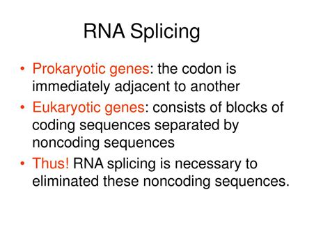 PPT - RNA Splicing PowerPoint Presentation, free download - ID:5615831