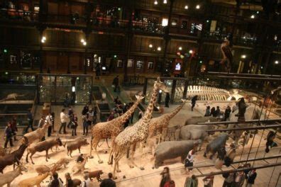 Top Museum for Kids in Paris – Paris Rent Apartments