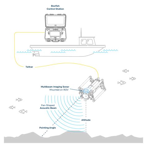 Multibeam Sonar for ROV navigaition