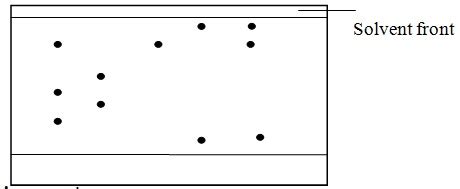 Chromatogram and Solvent Front