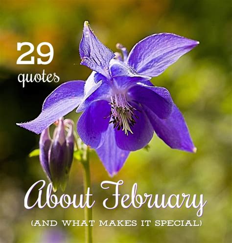 29 Quotes About February and What Makes It Special - Holidappy