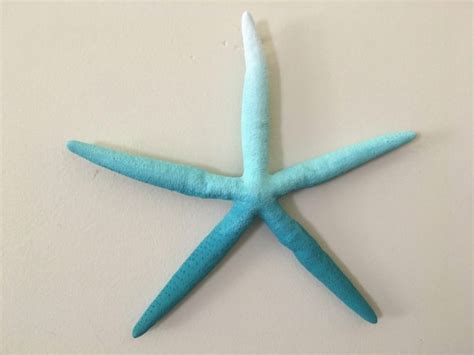 Tropical Large Starfish Wall Hanging | Sea 2 Land Designs