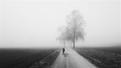 fog, alone, bw, silhouette, road, trees 4k fog, bw, Alone Words Wallpaper, City Wallpaper, Music ...