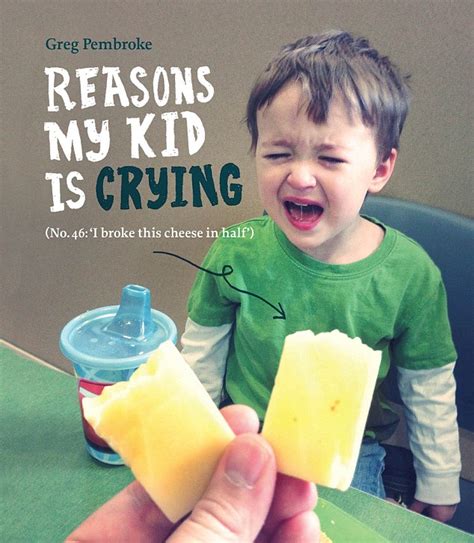 Reasons My Son is Crying book inspired by viral blog | Daily Mail Online