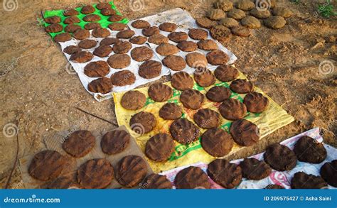 Dry Cow Dung Cakes for Hawan Kund . Dung Cake on Soil Ground Background. Dung Cake for Religious ...