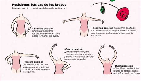 Posiciones basicas de los brazos en Ballet Ballet Jazz, Ballet Recital, Ballet Moves, Ballet ...