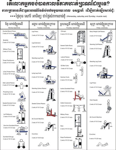 www.angkormusclesport.blogspot.com: Beginner's Bodybuilding Program | Beginners gym workout plan ...