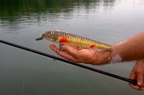 Tips and Tricks for Michigan's Inland Summer Muskies | OutdoorHub