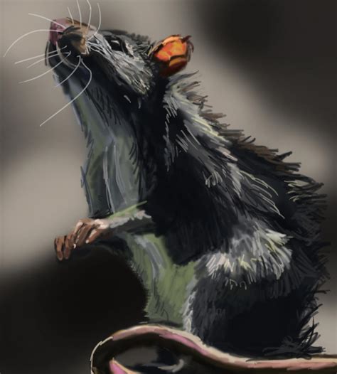 Rat Speed Painting by Inari123 on deviantART