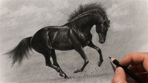 Galloping Black Horse Charcoal Drawing - YouTube