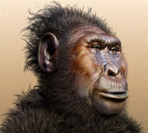 0 Hominidés 0.3 Pliocène Supérieur Australopithecus Boisei Paranthrope Crane Paris MHN ...