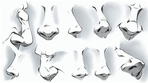 Comic Style Noses - Various Angles by robertmarzullo | Nose drawing ...