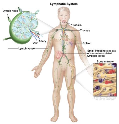 Where Does Thyroid Cancer Spread To First