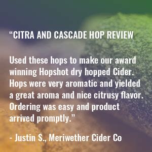 Citra Hops Add Citrus Aroma To Your Beer – Yakima Valley Hops