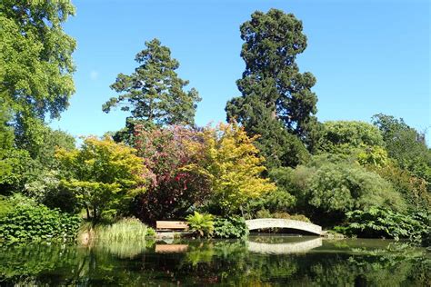 Christchurch Botanic Gardens (Christchurch) New Zealand - Timings, entry fee