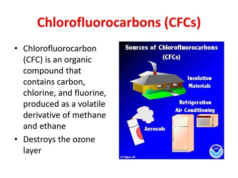 PPT - Biology End of Course Test (EOCT) Study Guide PowerPoint ...