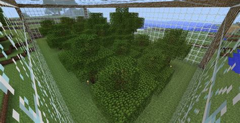 Epic Tree Farm Minecraft Map