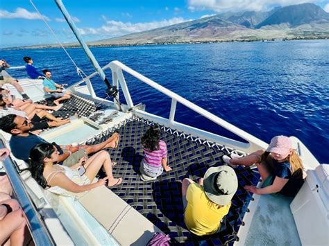 5 Best Maui Whale Watching Tours for 2024 season - Destination Checkoff