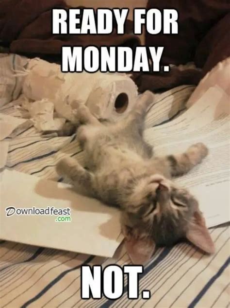 67+ Monday Memes: Be Ready To Fall About Laughing - BayArt