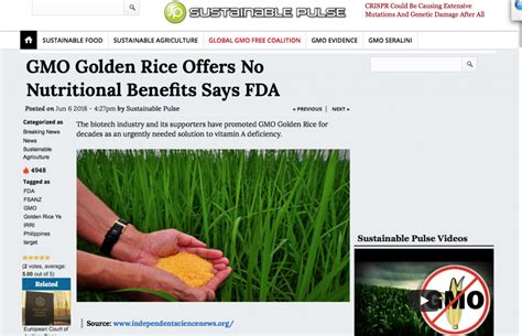 GMO Golden Rice Offers No Nutritional Benefits Says FDA • ZERO GMO