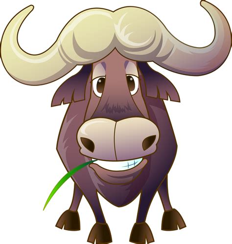 Clipart cow buffalo, Clipart cow buffalo Transparent FREE for download ...