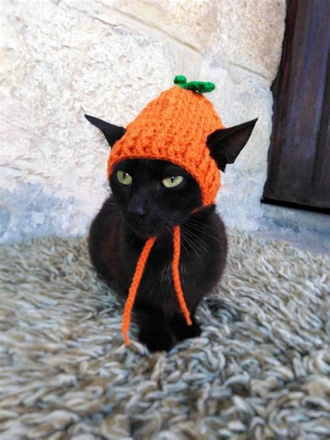 Pumpkin Hat for Cat Pumpkin Pet Costume Halloween Costume | Etsy