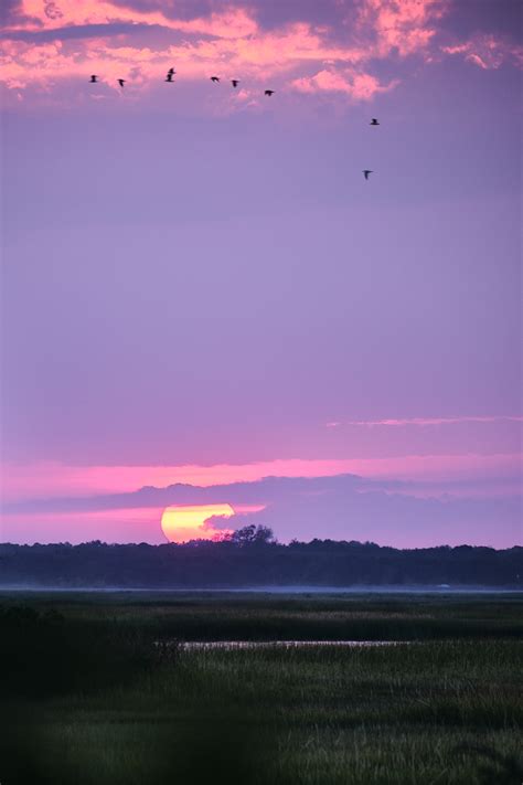 Serengeti Sunset by the Bay – obBLOGato