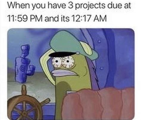 Doing your school work : r/spongebob