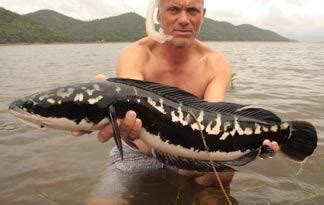 Giant Snakehead | River Monsters | Animal Planet