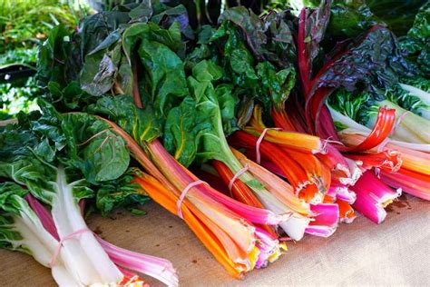 Winter Vegetables List to Plant for Year-Round Growing - Rural Living Today