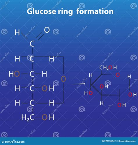 Glucose Ring Formation Anomers of Glucose Stock Vector - Illustration of medication, energy ...