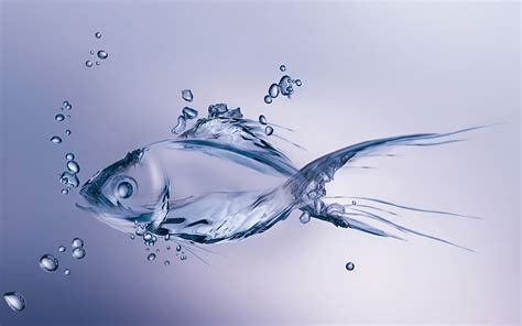 [49+] Fish in Water Wallpaper | WallpaperSafari.com