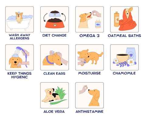 10 Natural Home Remedies For Dog Allergies That Work