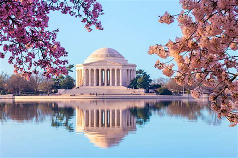 See Washington DC's cherry blossoms online