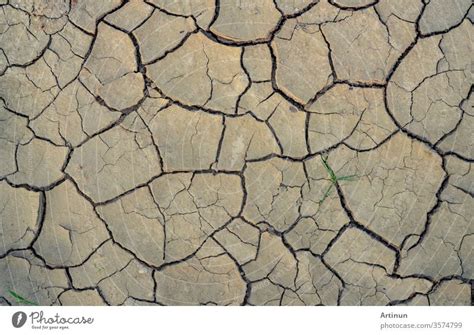 Barren Land Texture