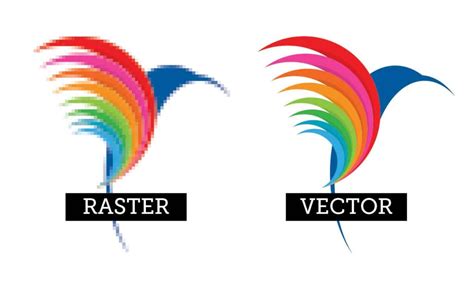 Raster vs Vector Images. The Important Differences. - BPI Color