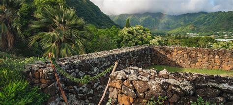 Manoa Heritage Center | Halekulani Hotel