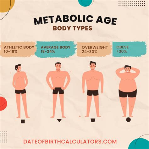 Metabolic Age Calculator: Ultimate Guide - dateofbirthcalculators.com