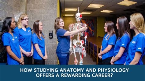 How Studying Anatomy and Physiology Offers a Rewarding Career? | VERVE COLLEGE :: Nursing ...