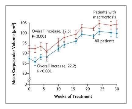 Macrocytosis Due to Treatment with Sunitinib | New England Journal of Medicine