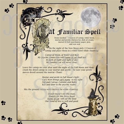 CAT FAMILIAR SPELL | Get a Cat Familiar | 2 Printable Pages ...