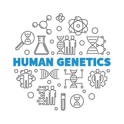 Human Genetics Vector Round Concept Outline Illustration Stock Vector - Illustration of genome ...