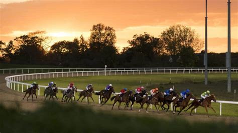 Chelmsford City Racecourse Guide - Guide, Fixtures & Betting - October 2024